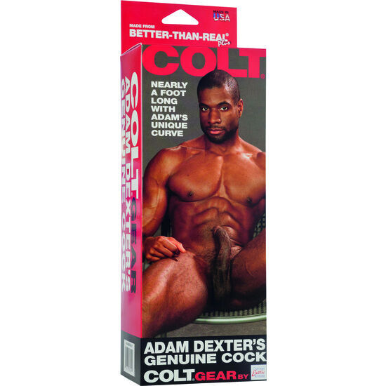 CALEXOTICS - COLT PENE REALÍSTICO ADAM DEXTER - Imagen 2